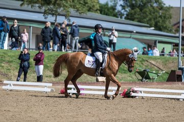 Bild 677 - Pony Akademie Turnier